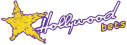 Hollywoodbets Aviator